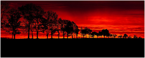 sunset-trees-nature-landscape-sky-4685162