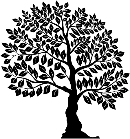 tree-silhouette-gnarled-tree-tree-5403232