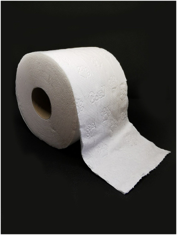 toilet-paper-toilet-loo-hygiene-4937479