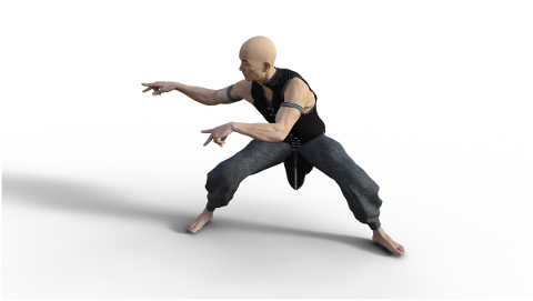 kung-fu-martial-arts-pose-fighter-4938618