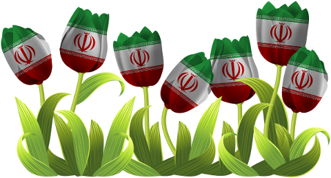 tulips-iran-tajikistan-afghanistan-4926173