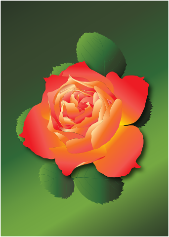 the-rose-postcard-bloom-design-4398379