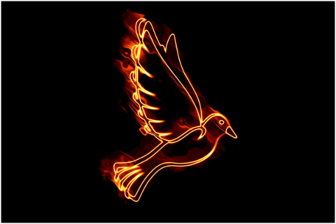 dove-fire-pentecost-holy-spirit-5061950