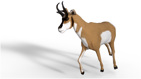 antelope-mammals-africa-5056308