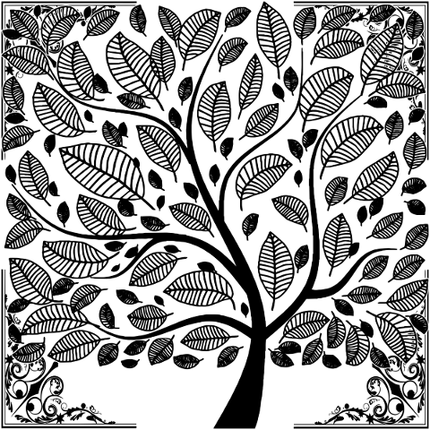 tree-tree-of-life-frame-spiritual-5334839