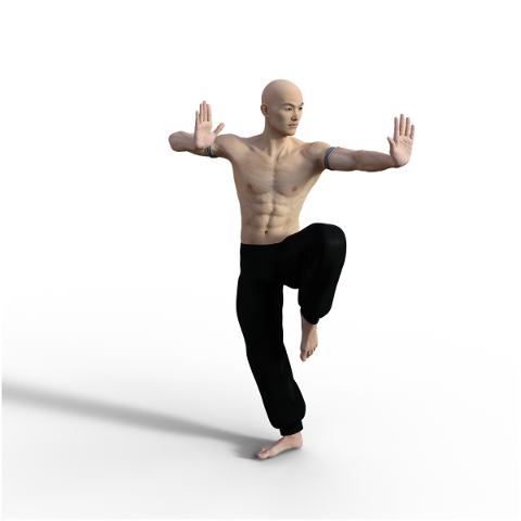 kung-fu-pose-fighter-wushu-action-4938634