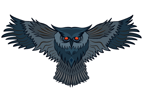 owl-bird-raptor-bird-of-prey-wings-5809177