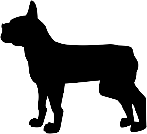 dog-silhouette-dog-breed-silhouette-5497992