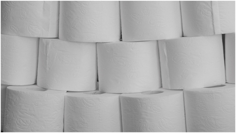 toilet-paper-background-white-4967985
