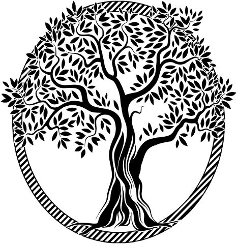 tree-tree-of-life-frame-spiritual-5334822