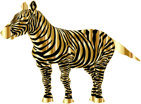 zebra-animal-africa-safari-stripes-6539408