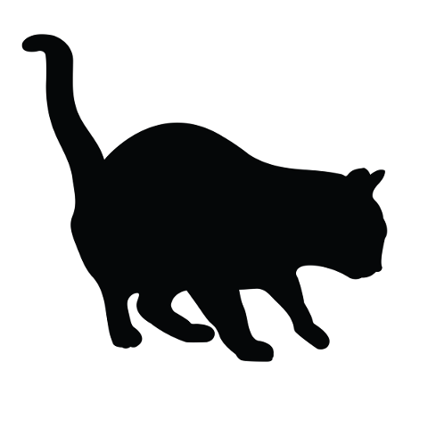 silhouette-cat-animal-black-5031363