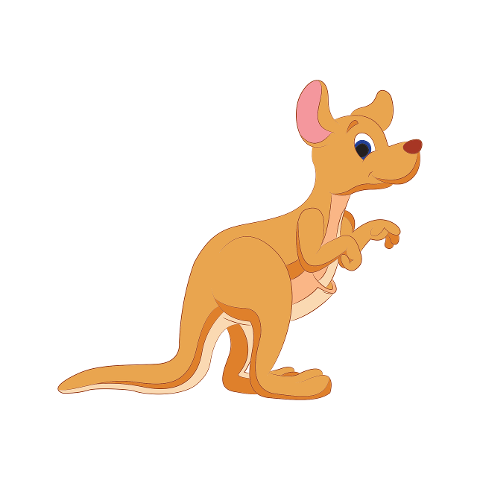 kangaroo-animal-australia-marsupial-4187955