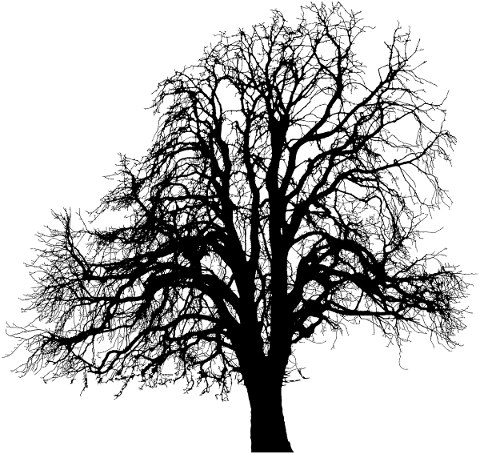 tree-landscape-silhouette-plant-5180153