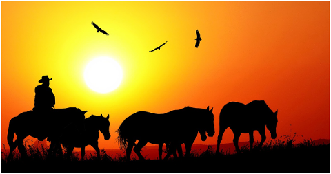 sunset-nature-western-horses-birds-4741140