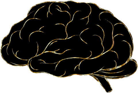 brain-think-psychology-a-i-ai-5159709