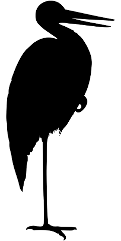 crane-stork-silhouette-egret-bird-4401050