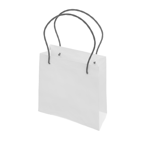 white-empty-shopping-bag-4731778