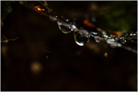raindrop-darkness-drop-of-water-4878319