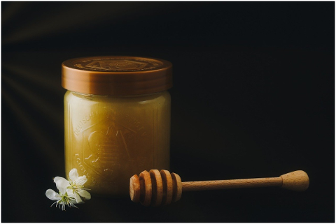 honey-beekeeper-beekeeping-glass-5043708