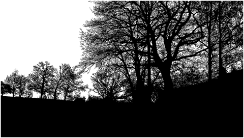 trees-landscape-silhouette-forest-5118296