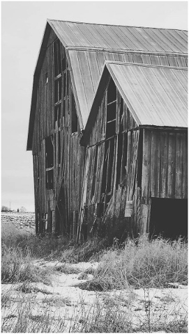 barn-rustic-farm-country-landscape-4824809
