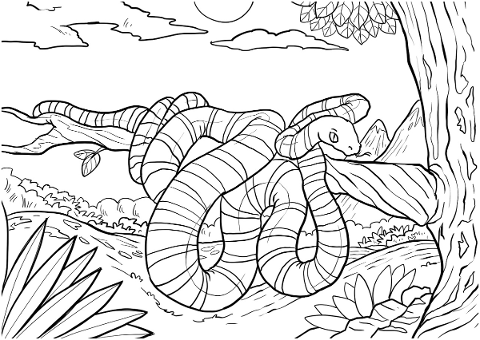 snake-drawing-reptile-animal-4865258