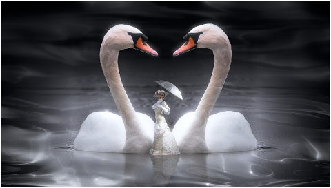 fantasy-swan-woman-screen-white-4307848