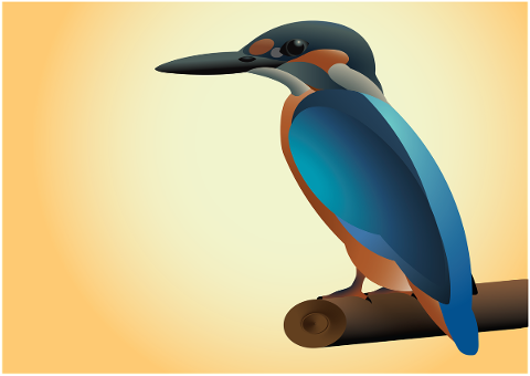 kingfisher-bird-beak-background-4946708