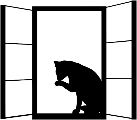 cat-silhouette-window-window-pane-5673046