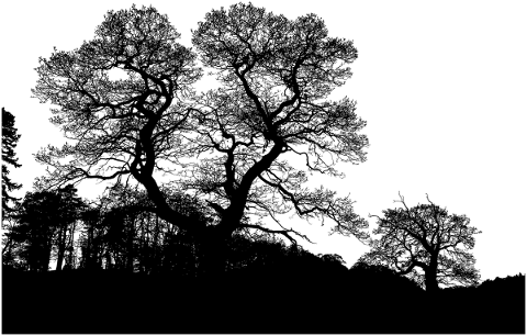 trees-landscape-silhouette-forest-4866448