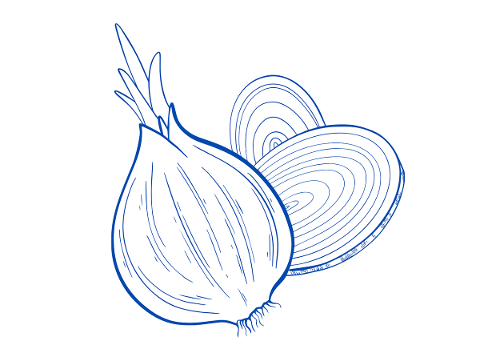 onion-vegetable-food-healthy-5729228