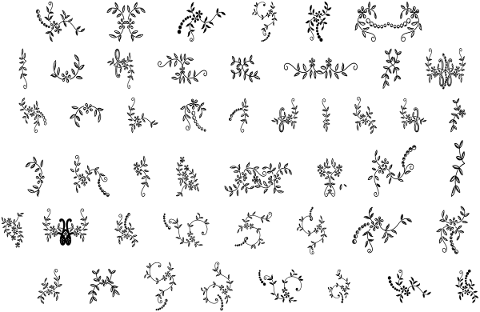 floral-doodles-flowers-leaves-4838650