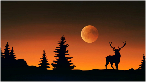 nature-moon-sunset-4974486