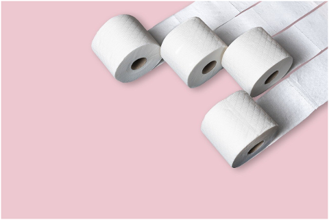toilet-paper-loo-toilet-paper-4974464