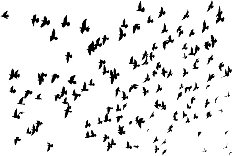 birds-flying-silhouette-flock-5756741