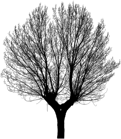 tree-landscape-silhouette-plant-5202292