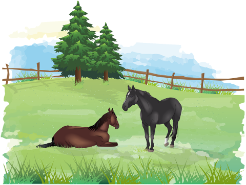 horse-horses-meadow-pasture-5467315