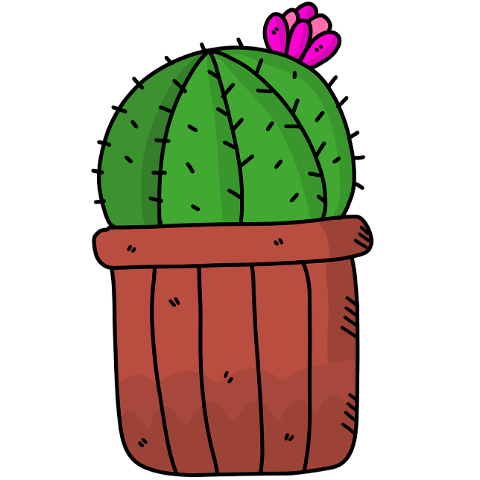 cactus-succulent-succulents-green-4294916