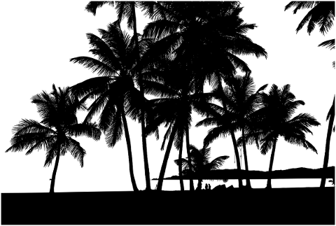 tropical-trees-silhouette-beach-5161206