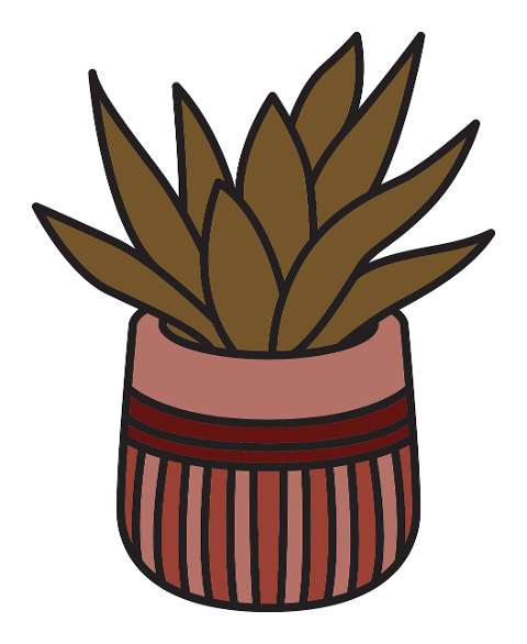 plant-potted-nature-decor-home-9471075