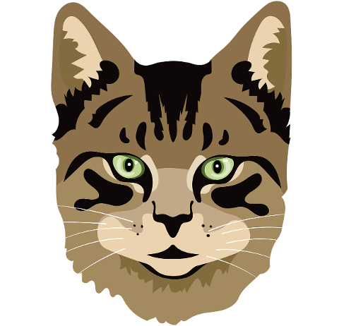 cat-meow-kitten-4495099