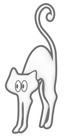 cat-pet-feline-home-kawaii-nice-5179715