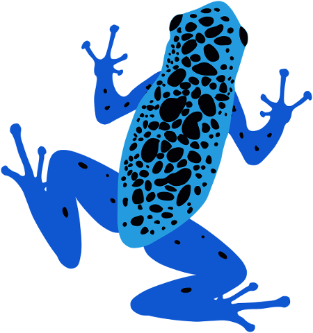 poison-dart-frog-frog-amphibian-5487611