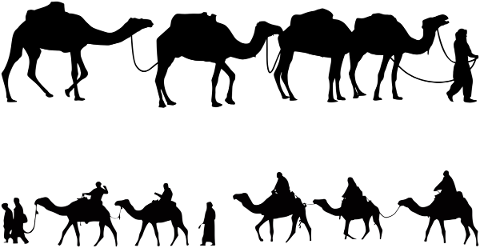 camels-caravan-silhouette-animals-5059946
