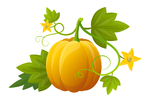pumpkin-illustration-plants-4447541