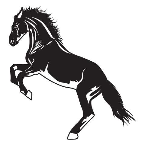 horse-jump-black-pegasus-ride-4700750