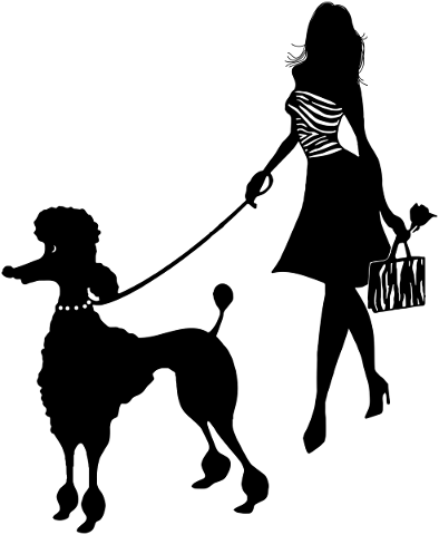 girl-with-poodle-silhouette-woman-4900845