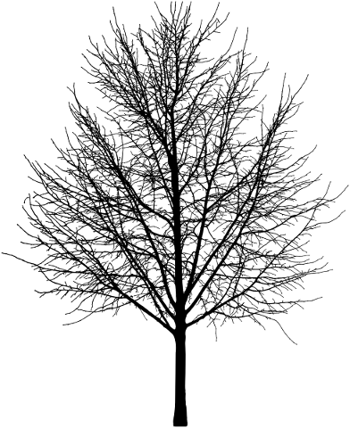 tree-landscape-silhouette-plant-5207037