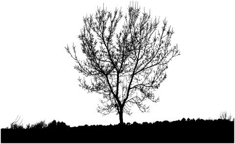 nature-tree-silhouette-landscape-4707727